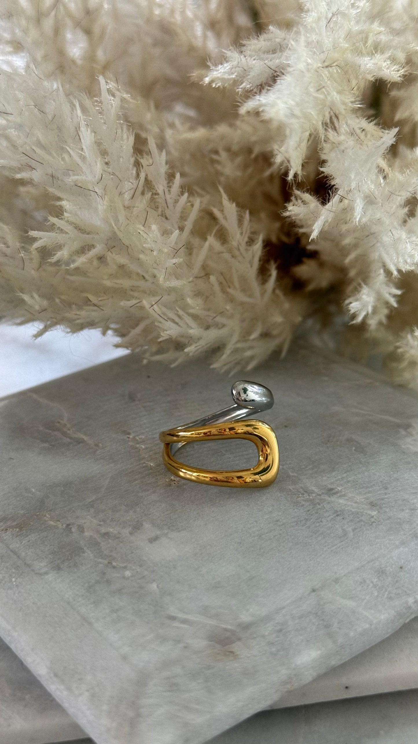 2 worlds Ring